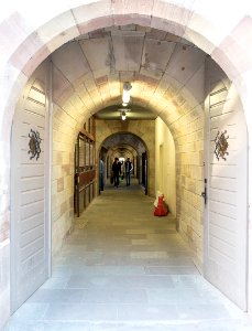 Strasbourg (207699489)