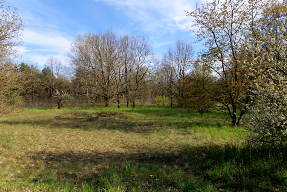 Streuobstwiese Zossen 2021-05-09 16