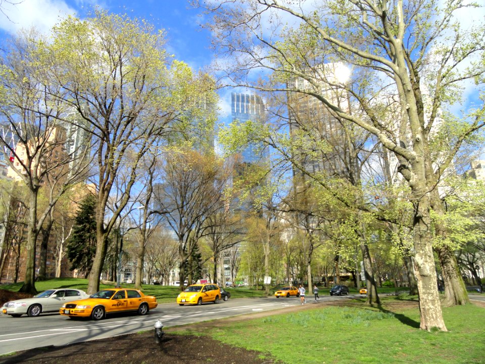 Streets in Central Park - DSC05932