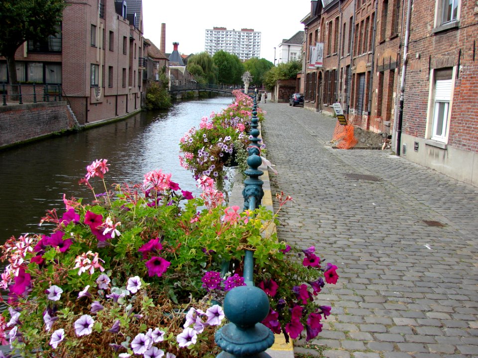 Streets In Ghent (190529597)