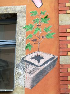 Streetart Dresden Neustadt 20