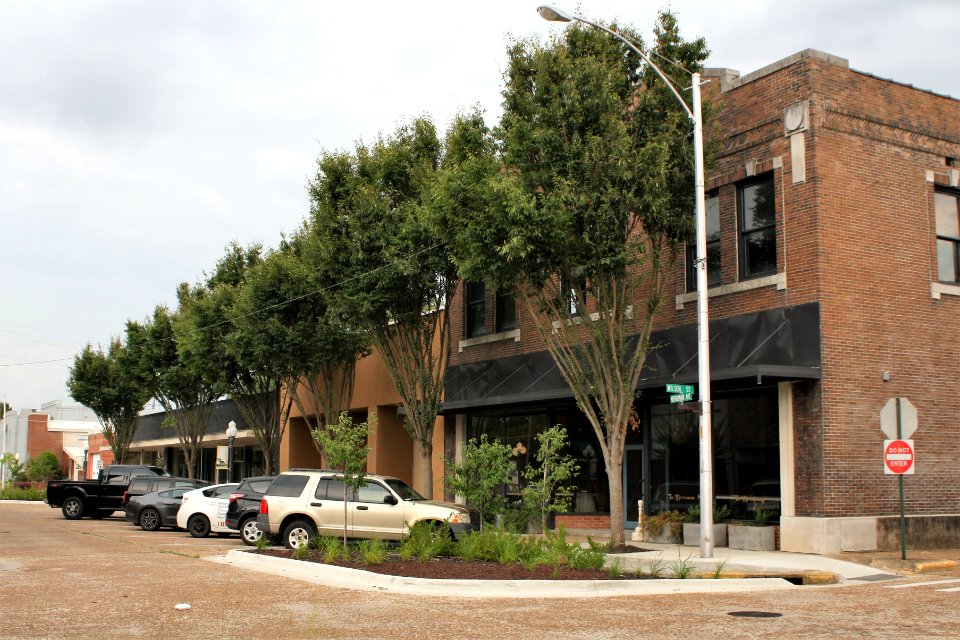 Streetside in Wynne, Arkansas 2