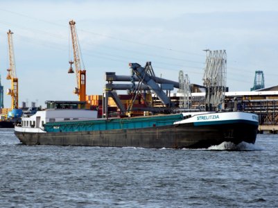 Strelizia (ship, 1979), ENI 06004237, Port of Antwerp pic2