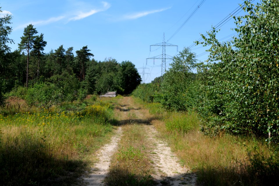 Strausberger Sander-, Os- und Barnimhanglandschaft 2020-08-05 68