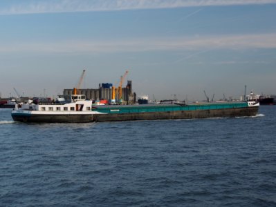 Strelizia (ship, 1979), ENI 06004237, Port of Antwerp pic3