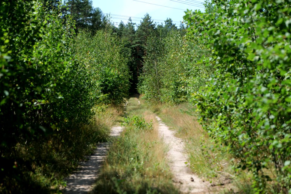 Strausberger Sander-, Os- und Barnimhanglandschaft 2020-08-05 14
