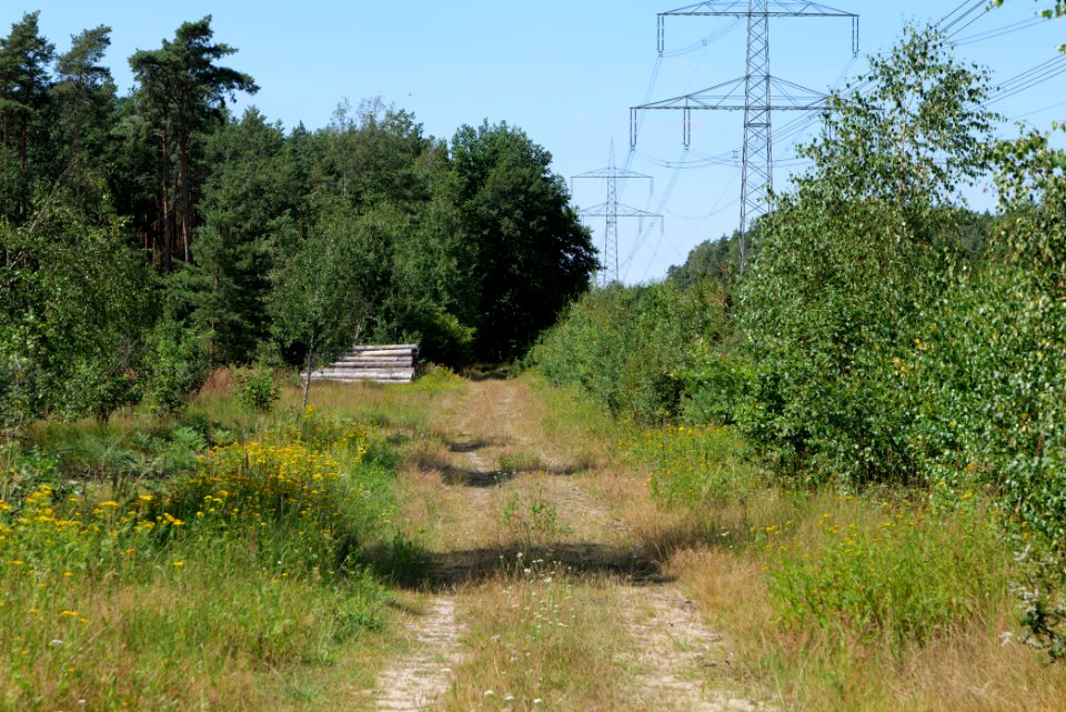 Strausberger Sander-, Os- und Barnimhanglandschaft 2020-08-05 67