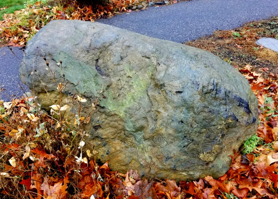 Stone - Arlington, MA - 20201127 100515
