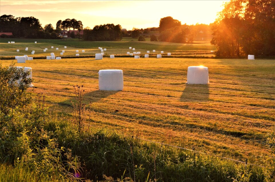 Småland summer outdoor