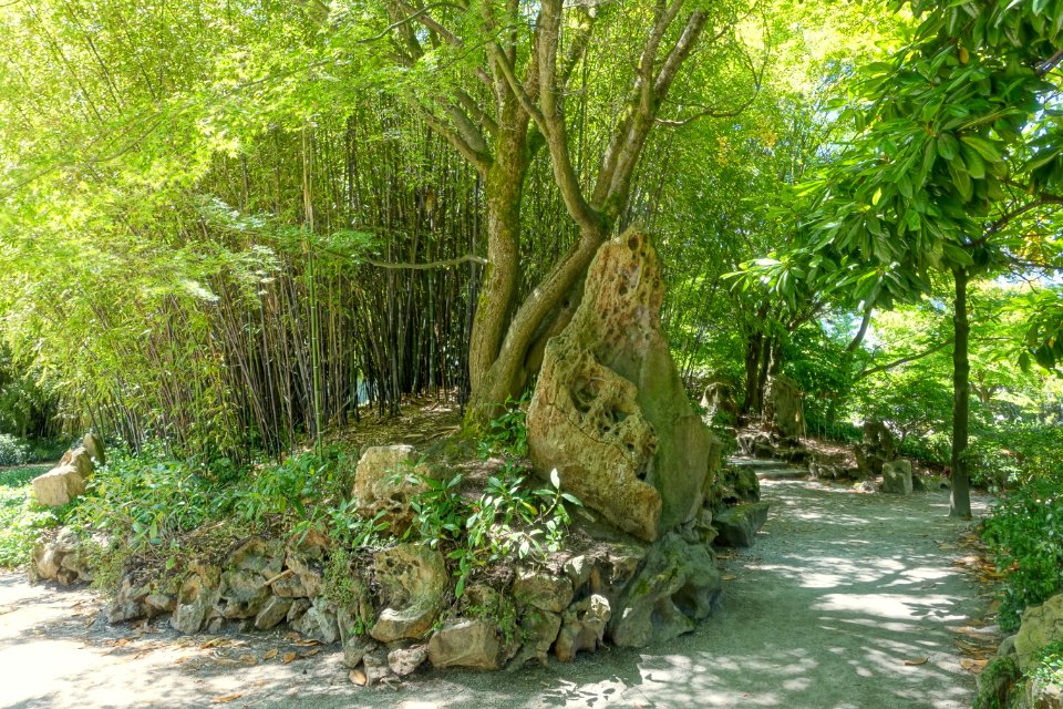 Stone and bamboo - Dr. Sun Yat-Sen Park - Vancouver, Canada - DSC09982