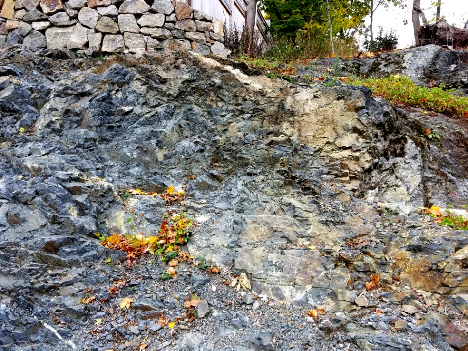 Stone - Arlington, MA - 20201025 110032