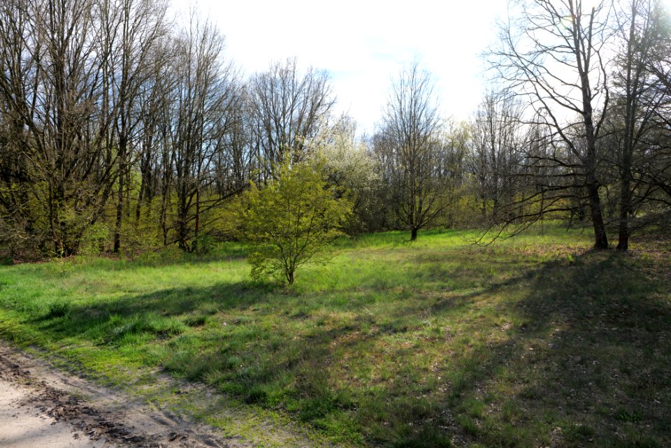 Streuobstwiese Zossen 2021-05-09 15