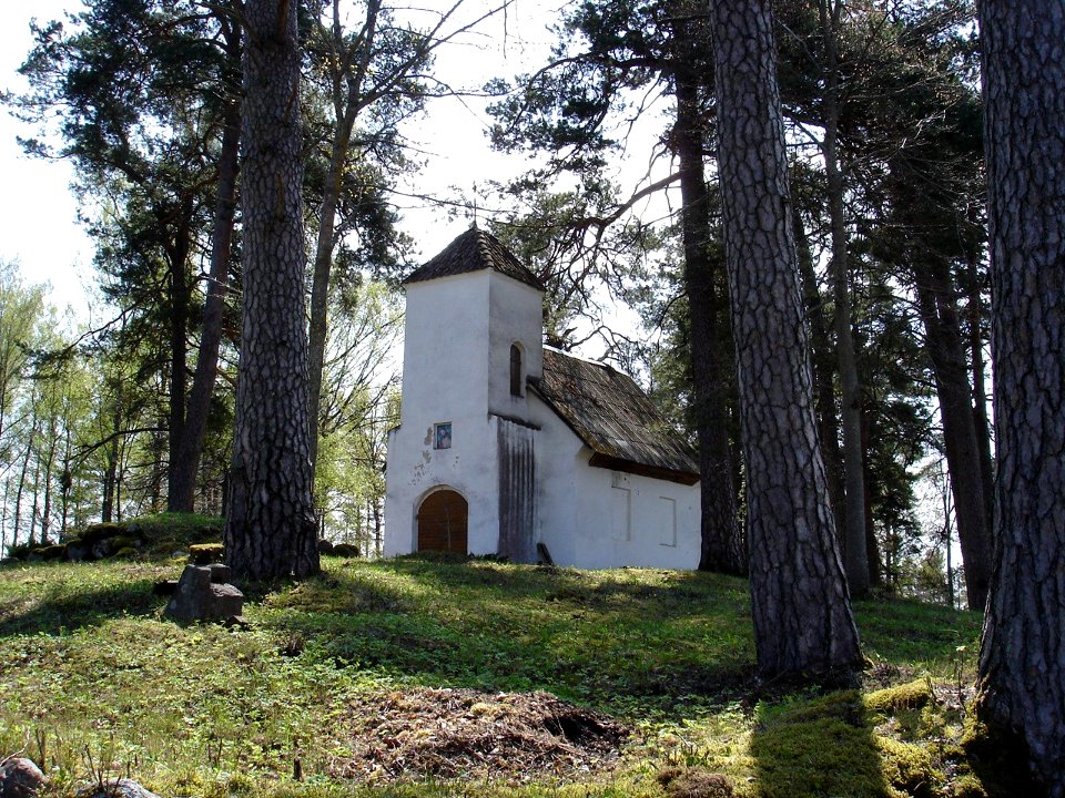 Strobuku kapi