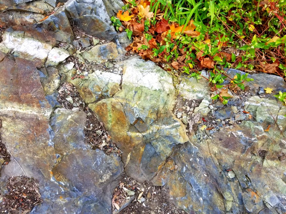Stone - Arlington, MA - 20201025 110141