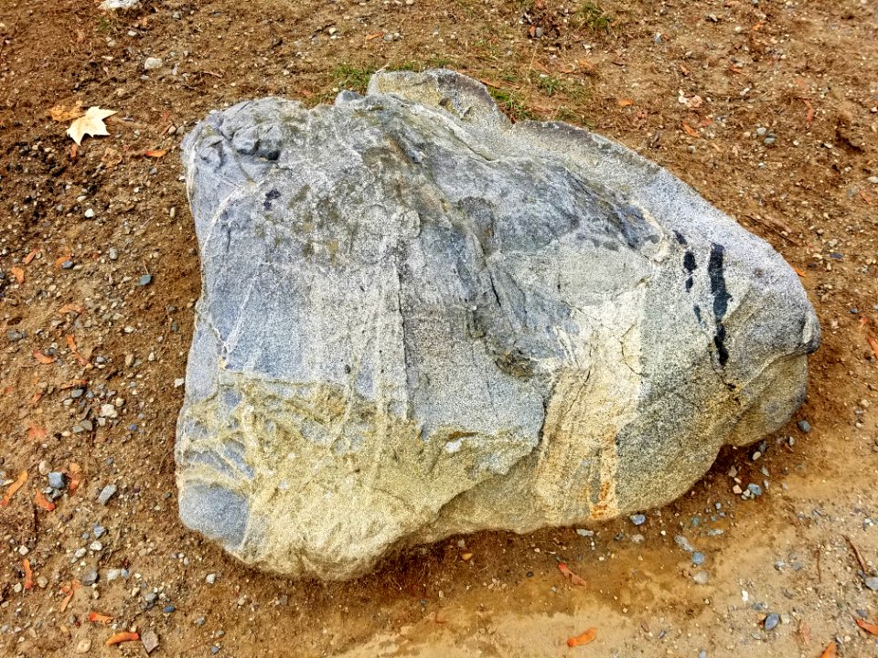 Stone - Robbins Farm Park - Arlington, MA - 20201125 095321