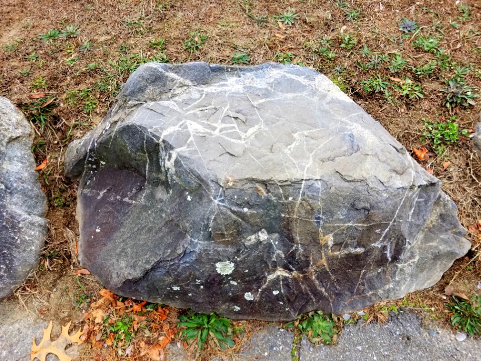 Stone - Robbins Farm Park - Arlington, MA - 20201125 095231