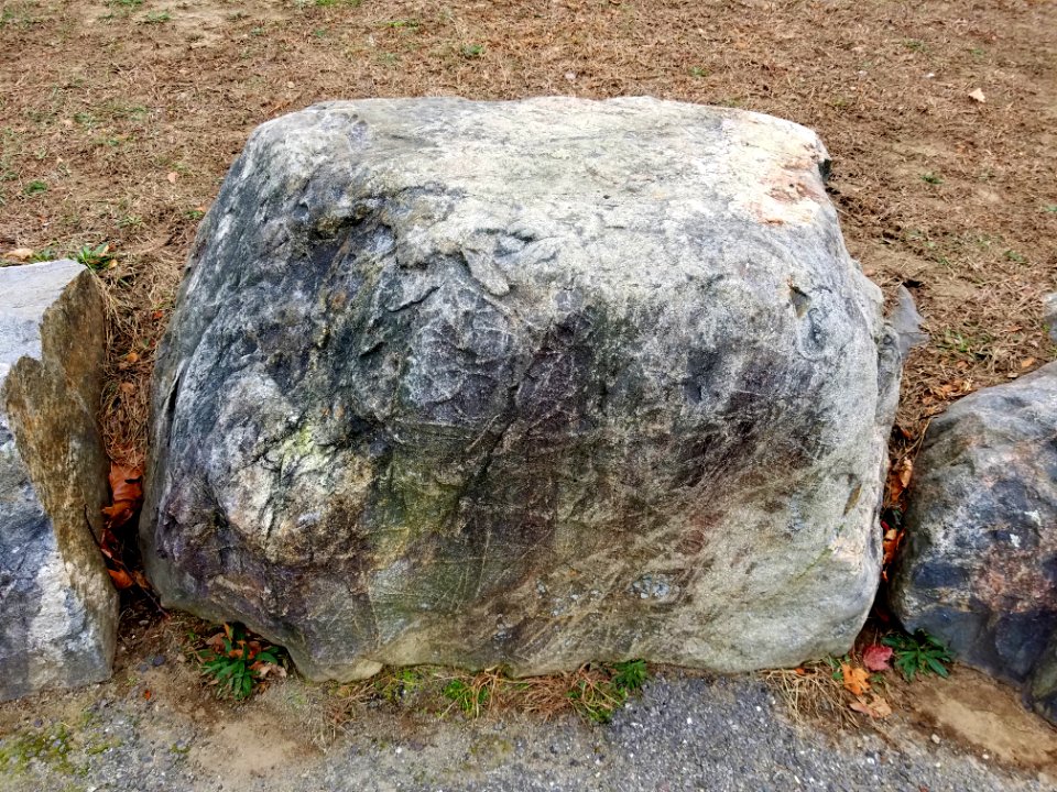 Stone - Robbins Farm Park - Arlington, MA - 20201125 095152