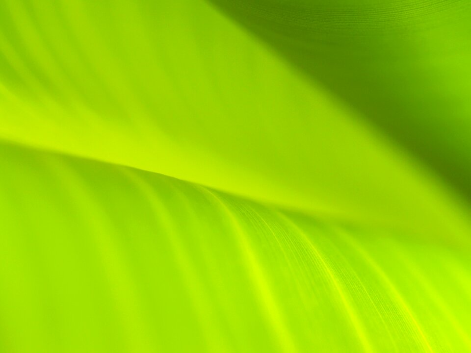 Element environment environmental