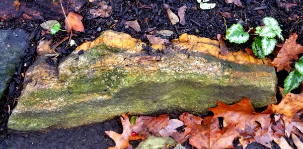Stone - Arlington, MA - 20201127 100022