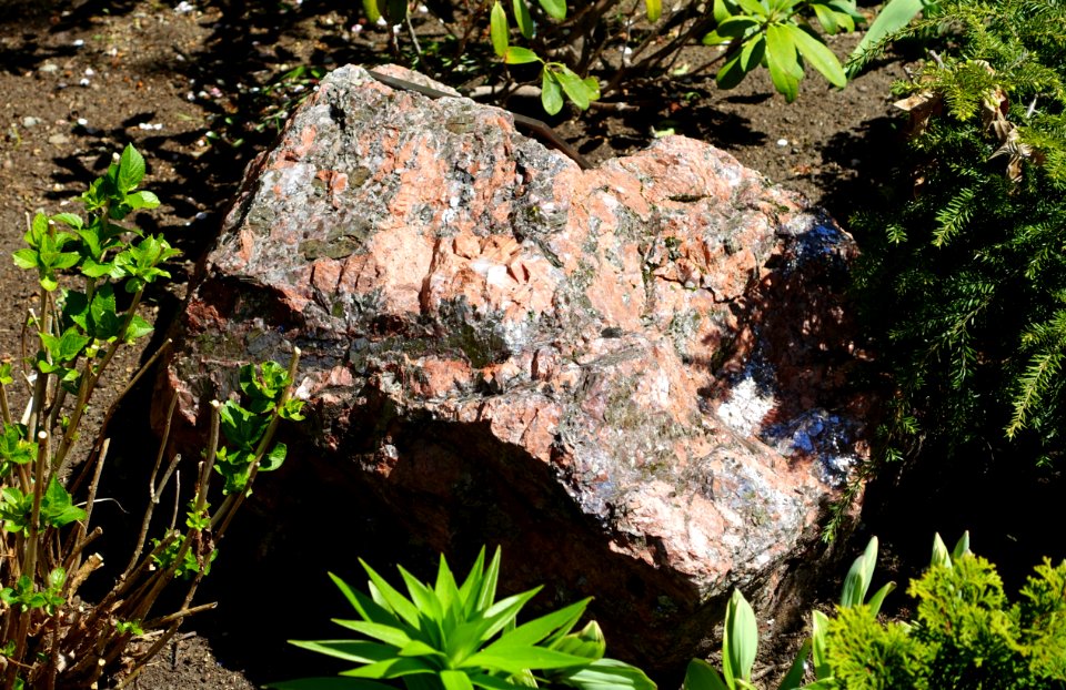 Stone - Arlington, MA - DSC01707