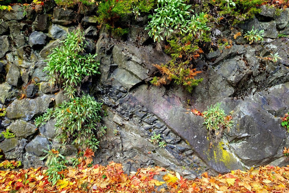 Stone - Arlington, MA - DSC03147