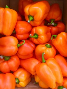 Vegetables seiyu ltd living