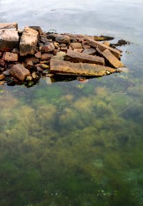 Stone pier and algae in Lahälla 1