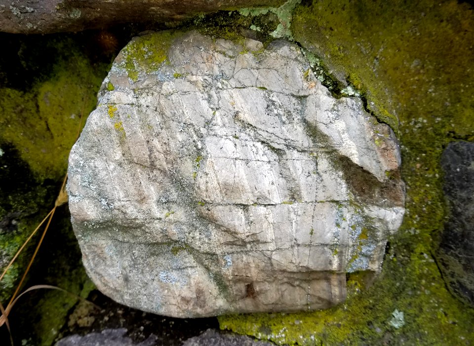 Stone in wall - Arlington, MA - 20201128 101051