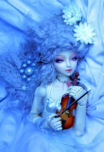 Blue flower white