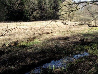 Streuwiese im Rotenbachtal bei Ellwangen