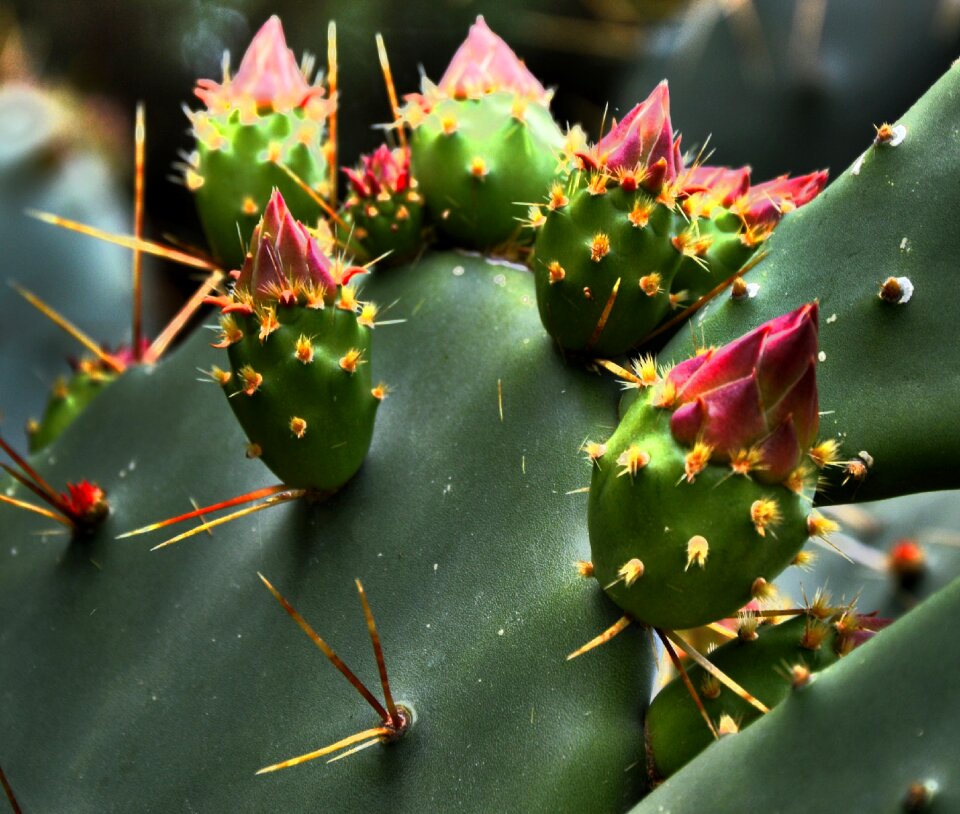 Nature spur beautiful