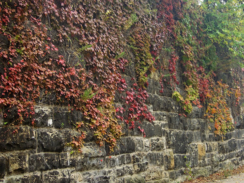 Stone Wall, South Side, 2019-10-26, 02
