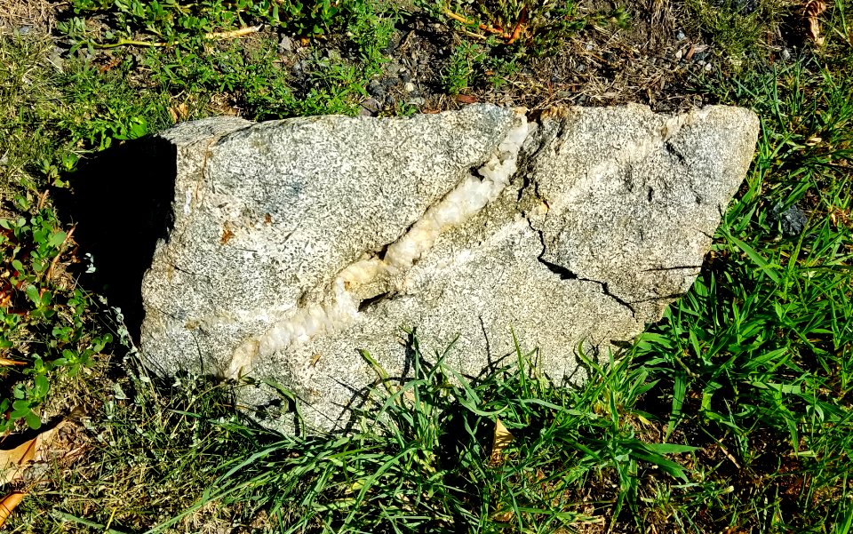 Stone - Arlington, MA - 20200813 090845