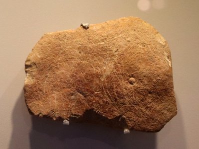 Stone Age Animal Carving, Hayonim Cave, 28000 BP (detail)