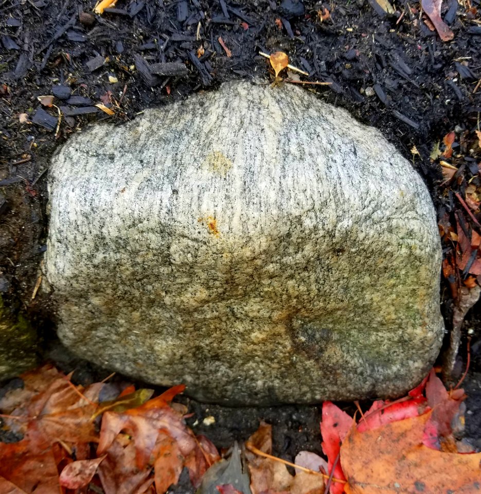Stone - Arlington, MA - 20201127 095929
