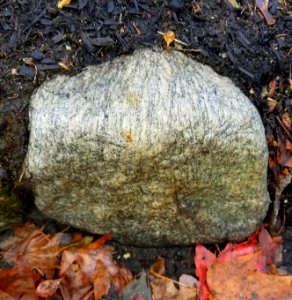 Stone - Arlington, MA - 20201127 095929