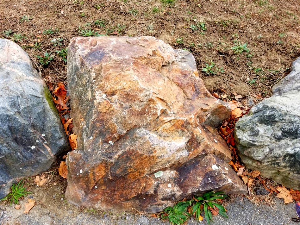 Stone - Robbins Farm Park - Arlington, MA - 20201125 095206