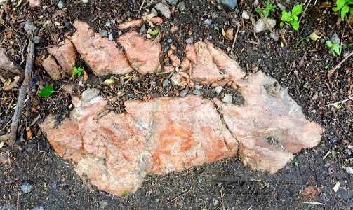 Stone - Arlington, MA - 20200707 085712