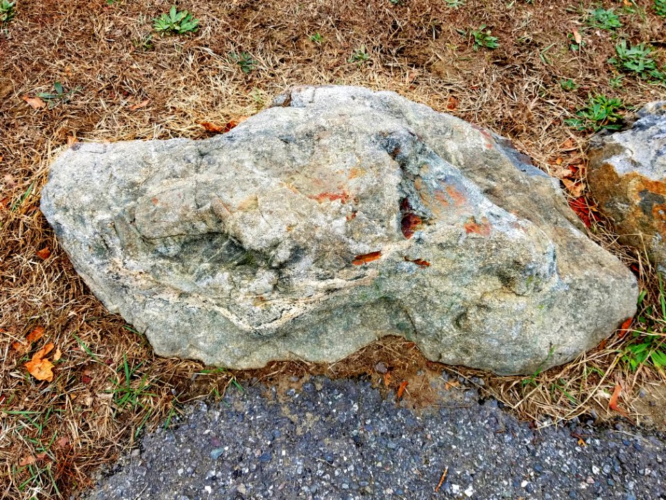 Stone - Robbins Farm Park - Arlington, MA - 20201125 095119