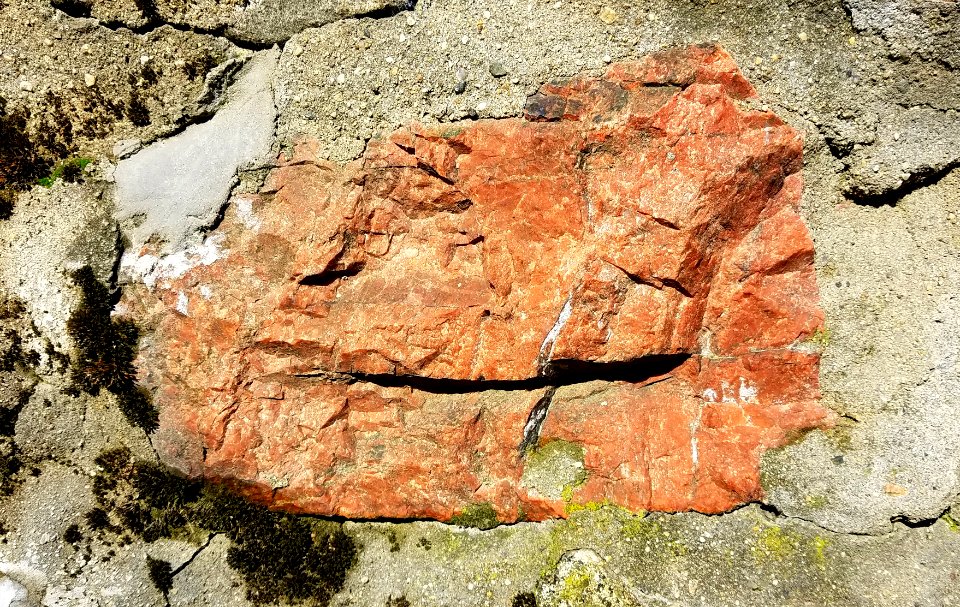 Stone - Arlington, MA - 20201022 095129