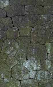 Stone wall in Hainan - 02