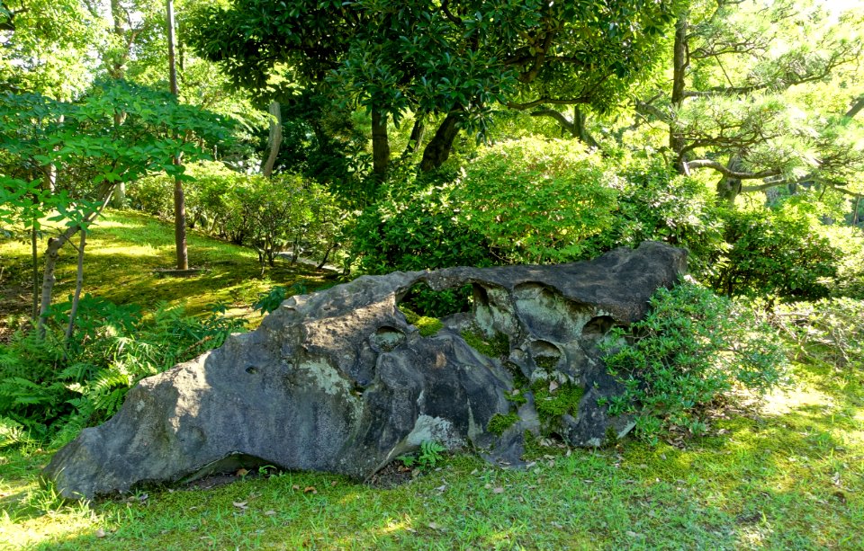 Stone - Old Yasuda Garden - Tokyo, Japan - DSC06521