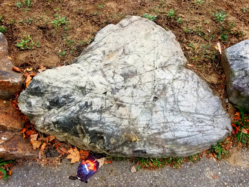 Stone - Robbins Farm Park - Arlington, MA - 20201125 095216
