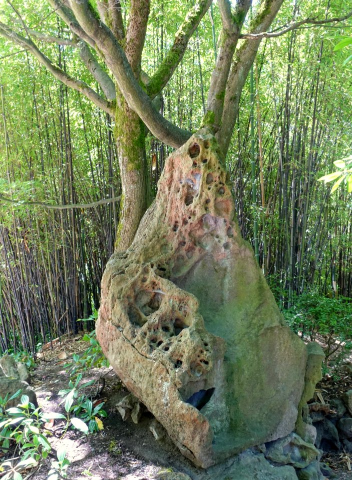 Stone - Dr. Sun Yat-Sen Park - Vancouver, Canada - DSC09974