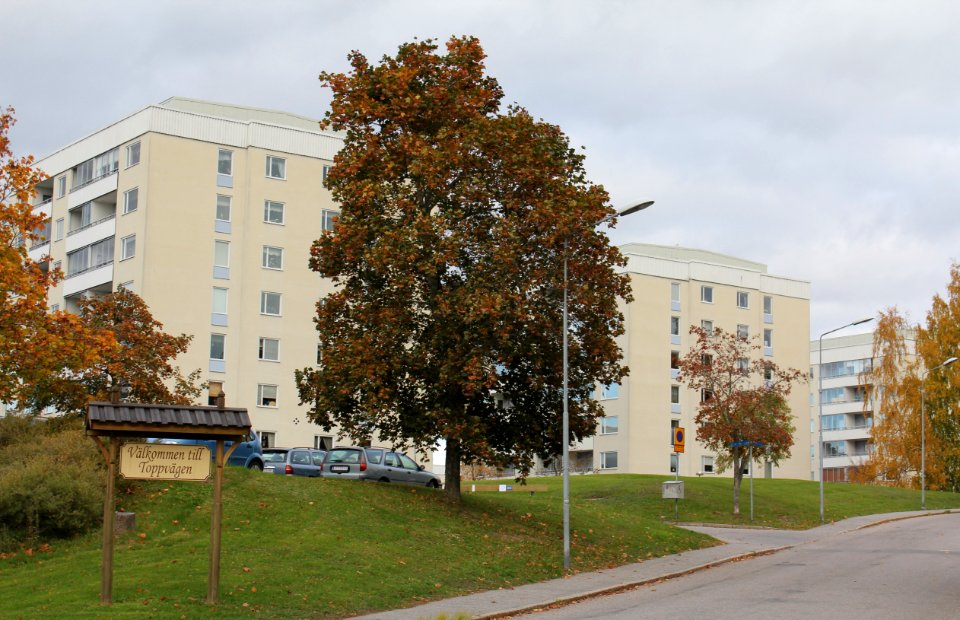 Storvreten, Toppvägen