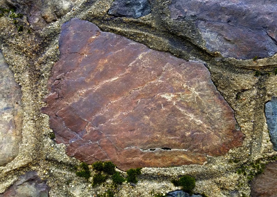 Stone in wall - Arlington, MA - 20201127 093321