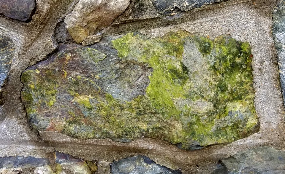 Stone in wall - Arlington, MA - 20201127 093115
