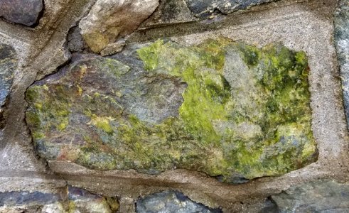 Stone in wall - Arlington, MA - 20201127 093115