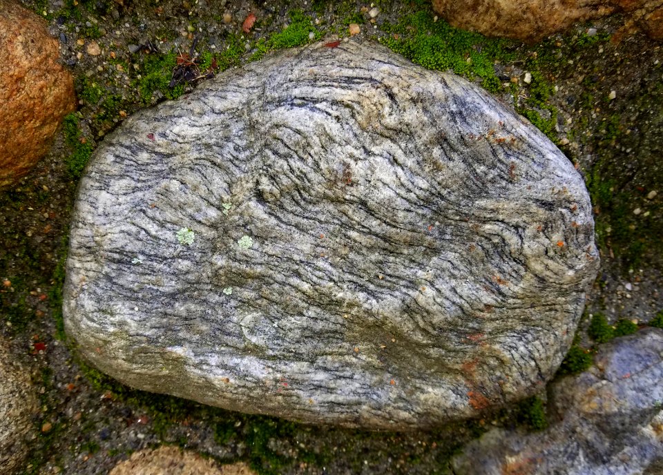 Stone in wall - Arlington, MA - 20201127 092519