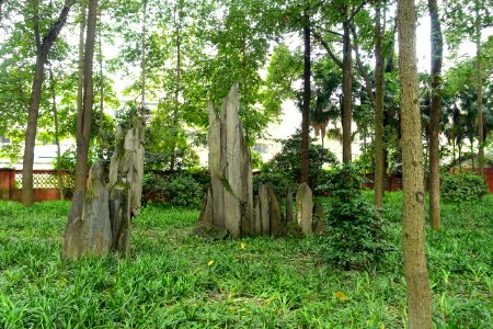 Stones - Wenshu Monastery - Chengdu, China - DSC05184